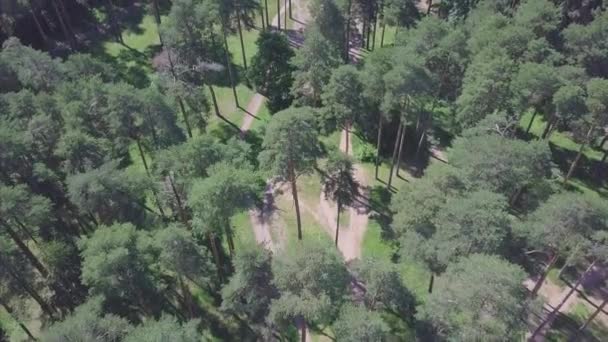 Drone lotnicze szybownictwo strzał słoneczny park leśny. Klip. Widok parku wiosny z góry, weekend — Wideo stockowe