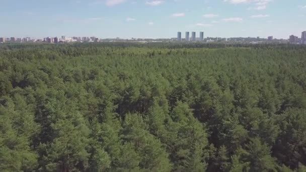 Letecký pohled na fotoaparát od zeleného lesa husté smíšené stromů borovice a břízy. Klip. Letecký dron střílel nad Severní Evropské lesní — Stock video