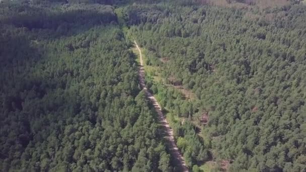 Cámara de vista aérea del bosque verde de densas copas de árboles mixtos de pinos y abedules. Clip. Vista aérea volando sobre viejo parcheado carretera forestal de dos carriles con árboles verdes de bosques densos que crecen ambos — Vídeo de stock