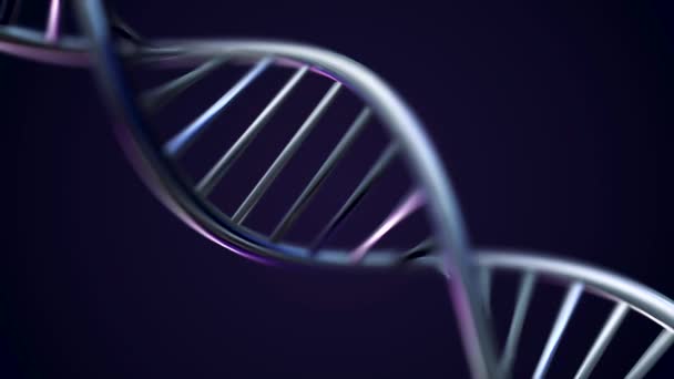 Futuristické rotující bílá řetězec DNA s genetických kódů a abstraktní geometrie. Bezproblémové opakování animace rotujícího DNA příze. Animace rotace spirály Dna modelu ze skla a křišťálu, nebo — Stock video