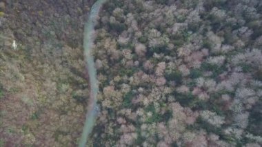 Havadan görünümü yeşil çayır ve küçük Nehri. Küçük. Dağ - havadan görünümü nehirde. Orman Nehri üzerinde yaz woodlands Üstten Görünüm