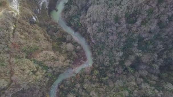 Вид с воздуха на зеленый луг и маленькую реку. Клип. Река в горах - вид с воздуха. Вид сверху на лесную реку над летними лесами — стоковое видео