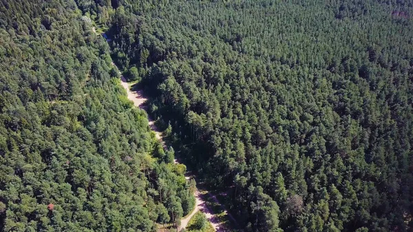 无限制的森林平原空间和在公路上行驶的汽车的鸟瞰图。剪辑.路在秋天森林空中风景。空中看法在路在森林之间 — 图库照片