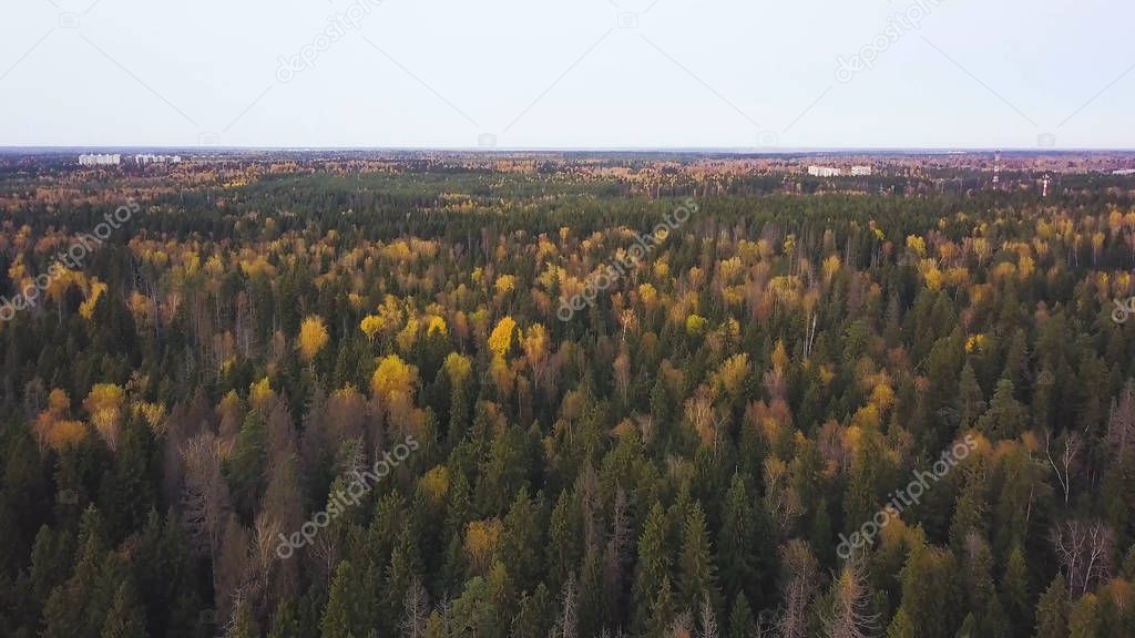 Birds-eye view of a scenic sunset over the forest hills, with toned dramatic colors. Clip. Aerial view of forest. Summer warm sun light forest aerial view