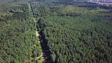 Sınırsız alan orman düz ve karayolu üzerinde sürme otomobil hava görünümünü. Küçük. Sonbahar orman havadan görünümü yolda. ormanlar arasındaki yol üzerinde havadan görünümü