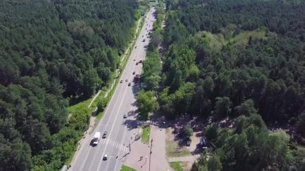 Luchtfoto van de weg in de prachtige herfst bos bij zonsondergang. Mooi landschap met lege landelijke weg, bomen met groene, rode en oranje bladeren. Snelweg door het park. Bovenaanzicht van drone vliegen. Clip — Stockvideo