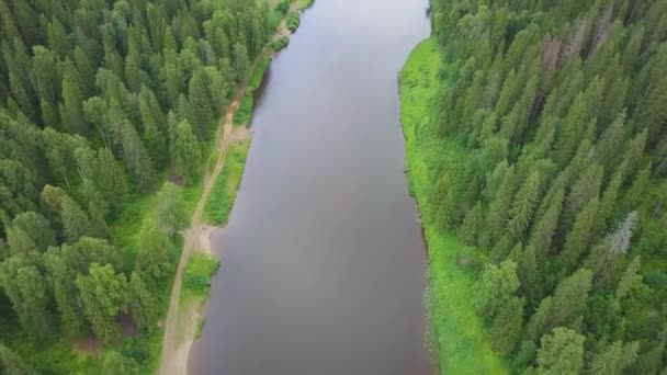 Vista aérea del río en la llanura verde del bosque. Clip. Vista aérea del bosque del río durante el día de verano en el fondo de grandes nubes blancas. Río sinuoso, paisaje increíble — Vídeo de stock