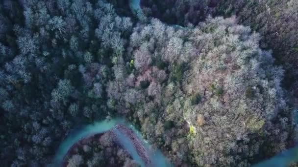 Blick von oben auf gewundenen Fluss und Berg. Clip. Luftaufnahme eines Fluges über den schönen Gebirgsfluss und den schönen Wald. Luftaufnahme. Landschaftspanorama. Flug über den Gebirgsfluss — Stockvideo