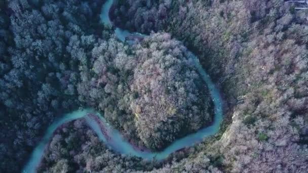 Aerial View Of Blue Mountain River. Winding river, amazing landscape. Green river valley canyon wide summer panorama Alpine mountain landscape — Stock Video