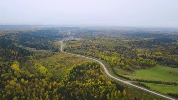 Vista aérea del espacio ilimitado de la llanura forestal y los coches que están montando en la carretera. Clip. Carretera en la vista aérea del bosque de otoño. vista aérea sobre la carretera entre bosques — Vídeos de Stock