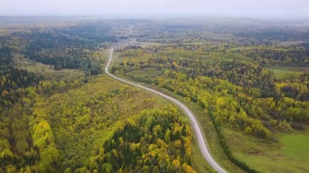 Luchtfoto van onbeperkte ruimte van bos vlakte en auto's die op snelweg rijden. Clip. Weg in de herfst bos luchtfoto. Luchtfoto uitzicht over de weg tussen forests — Stockvideo