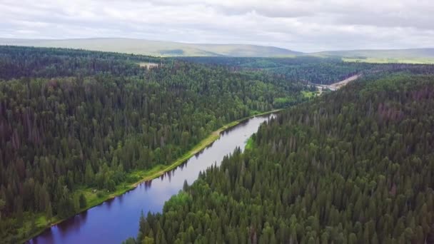 Vue aérienne de la rivière sur la plaine forestière verte. Clip. Vue aérienne de la forêt de la rivière pendant la journée d'été sur fond de grands nuages blancs. Rivière sinueuse, paysage étonnant — Video