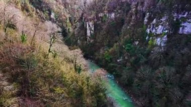 Havadan görünümü bir dere, ikindi günbatımı mercek parlaması ile yakın bir orman yoluyla sarma akışı üzerinde uçan. Küçük. Hava güzel dağ dere, nehir kristal yeşil ağaçlarıyla çevrili