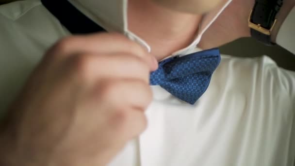 Een close-up shot van een man zijn tux strekken. Clip. Close-up van een man in een tux rechttrekken zijn bowtie, twee handen, geen jas. De man rechtmaakt zijn das — Stockvideo