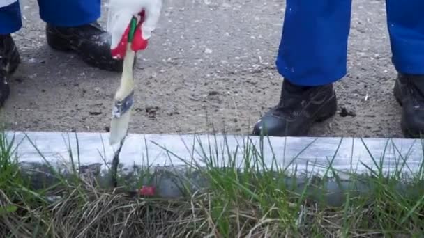 Mano con pincel y pintura roja en el sendero blanco. Clip. Primer plano de las manos pintando el pavimento con pintura blanca usando pinceles — Vídeos de Stock