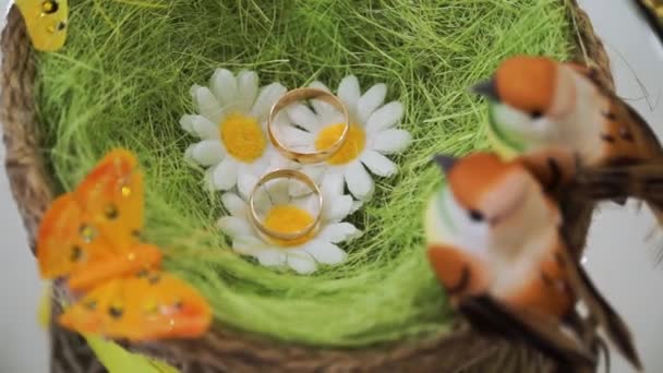 Alyans hasır sepet içinde kapatın. Küçük. Nişan yüzüğü ile sıcak pembe papatya çiçek sepeti beyaz izole öneriyor — Stok video