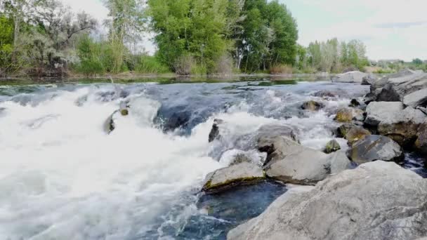 4 の 1。山川のカスケードと動画のセットです。荒廃の渓谷のハイキング中に川で岩に流れる水 — ストック動画