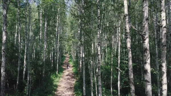 Vista superior do homem caminhando na floresta no caminho. Clipe. Belo dia de verão ensolarado na floresta — Fotografia de Stock