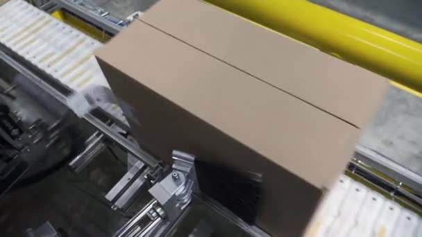 Caixas de papelão na correia transportadora na fábrica. Clipe. Linha de produção em que as caixas se movem — Vídeo de Stock