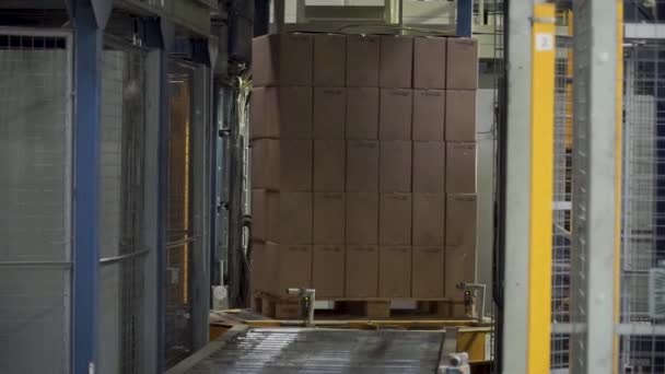 Transportbox in Bewegung auf Förderband, Ende der Linie. Clip. Transportband mit Kartons entlang des Korridors am Arbeitsplatz. Kartons auf einem Förderband in einer Fabrik