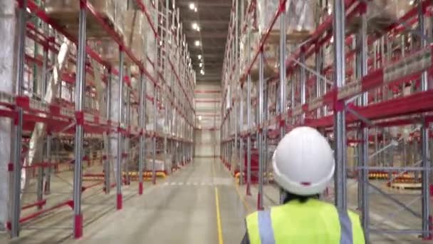 Shot of Female Industrial Worker in the Hard Hat Walking Through Heavy Industry Manufacturing Factory. Clip. Back view of female warehouse worker wearing protective goggles and helmet — Stock Video