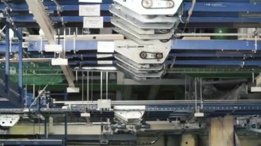 Karton kutular bir paketleme hattı bir taşıyıcı üzerinde hareket ediyor. Küçük. Modern bir fabrika olarak bir ambara paketleme hatları