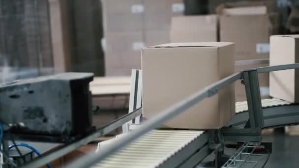 Cajas de cartón en cinta transportadora en fábrica. Clip. Línea de producción en la que se mueven las cajas — Vídeos de Stock