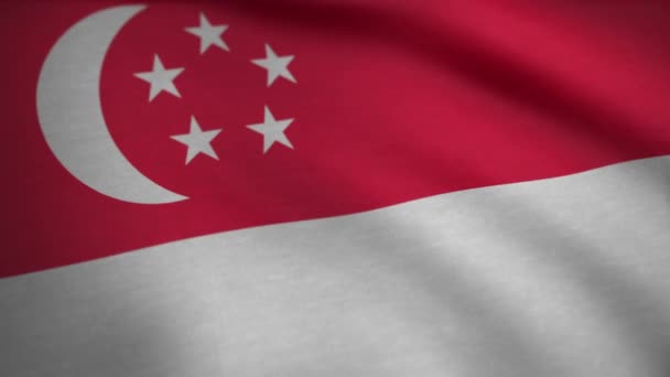 シンガポールの国旗。シンガポールの旗を振っています。シームレスなループ アニメーション — ストック動画