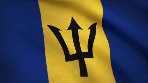 Bandeira dos Barbados. Bandeira nacional de Barbados acenando ao vento. Animação em loop sem costura — Vídeo de Stock