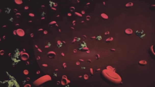 Virus inside organism. Microscopic Virus cell living among healthy cells.  High Definition. 3d animation of red blood cells flowing through artery —  Stock Video © MediaWhalestock #193634074