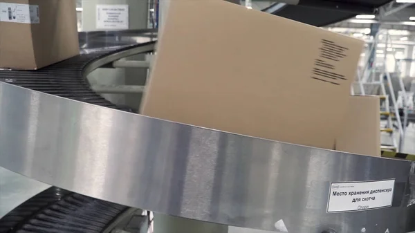 Cardboard boxes on conveyor belt in factory. Clip. Cardboard boxes on conveyor belt in distribution warehouse. Packed courier on production line against grey background