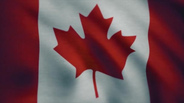 Bandeira de cetim canadense vincada com rugas visíveis e costuras. Bandeira realista do Canadá — Vídeo de Stock