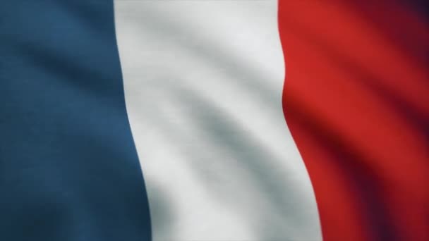 Прапор Франції - цикл, розмахуючи, гарною обробкою циклічного відтворення анімації прапор Франції. Повністю цифрову візуалізації за допомогою офіційний прапор дизайн, композиції повного кадру. Красиві сатіновий циклічного відтворення — стокове відео