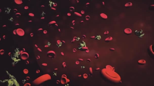 Virus dentro del organismo. Microscopic Virus cell living among healthy cells. Alta definición. animación 3d de los glóbulos rojos que fluyen a través de la arteria — Vídeo de stock