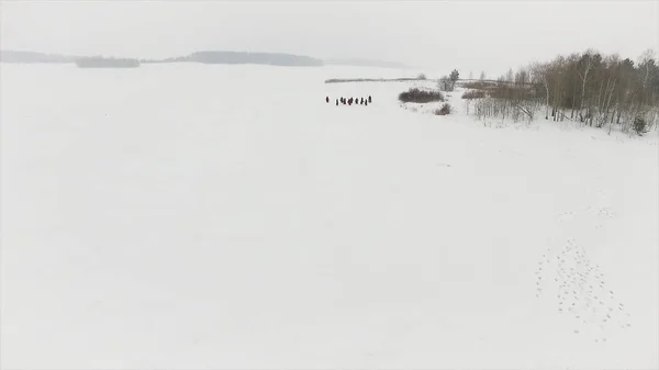 Grupo de caminhantes em trilha de neve na floresta. Filmagem. Um grupo de turistas e cães em um passeio de inverno no caminho da floresta de inverno — Fotografia de Stock