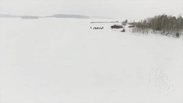 Group of trekkers on snow trail in the forest. Footage. A group of tourists and dog on a winter walk in the winter forest path — Stock Photo, Image