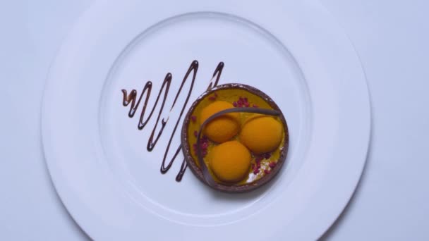 Κάτοψη του κομματιού του μπάλες παγωτό βανίλια ποτίζονται με σοκολάτα στο άσπρο πιάτο που απομονώνονται σε λευκό φόντο. Απόθεμα. Όλα πασπαλισμένα με ζάχαρη άχνη. Cheesecake σοκολάτας με μέντα πέταλο — Αρχείο Βίντεο