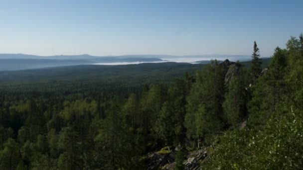 Sommar landskap i bergen och mörkblå himmel. Timelapse. Molnen rör sig i den blå himlen över träden — Stockvideo