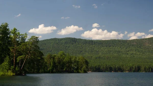 Été nature montagne forêt lac paysage. belle nature verdoyante, arbres en fleurs à côté d'un lac naturel vert — Photo