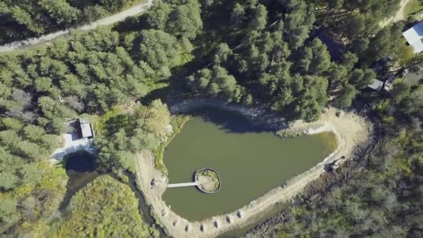 가 숲에 둥근 모양의 연못의 공중 전망. 비디오입니다. 숲에 있는 연못의 상위 뷰 — 비디오