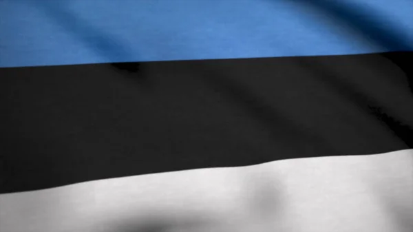 Bandiera con proporzioni originali. Primo piano della bandiera dell'Estonia — Foto Stock