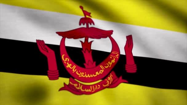 Close up shot of wavy flag of Brunei. Flag of Brunei background — Stock Video