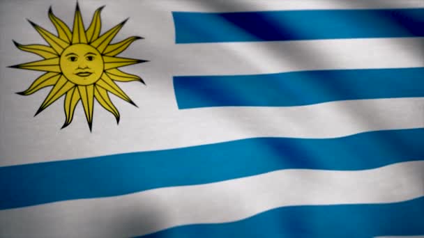 Bir ipek Uruguay bayrağı sallayarak asmak. Uruguay arka plan bayrağı — Stok video