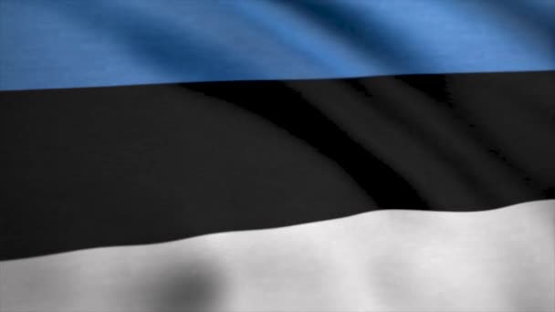 Bandera con proporciones originales. Primer plano de la bandera grunge de Estonia — Vídeo de stock