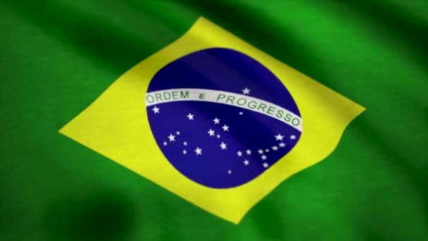 Tessuto bandiera brasiliana con onde. Bandiera del Brasile sfondo — Video Stock
