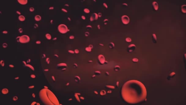 Glóbulos rojos, renderizado en 3D. Glóbulos sanguíneos . — Vídeo de stock