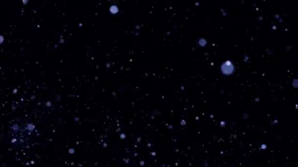 Abstrato pequenas partículas redondas voando no vento sobre fundo preto. Animação. Círculos roxos fluindo movimento caótico . — Vídeo de Stock
