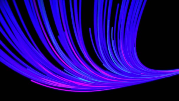 Schöne 3D-Lichteffekte, viele gebogene blaue und rosa Strahlen auf schwarzem Hintergrund. Animation. abstrakt glühender Kometenschweif im Weltraum. — Stockvideo