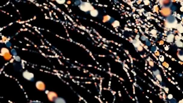 Endless amount of bokeh rows flowing chaotically on black background, seamless loop. Animation. Beautiful abstract threads of circles flying in the dark. — Stock Video