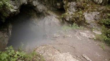 Karanlık mağaranın puslu girişi. Stok görüntüleri. Etrafı sis ve yeşil bitkilerle çevrili gizemli ve korkutucu mağara girişi. Mağara kayaları düşüyor.